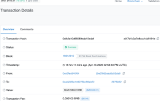 Binance smart chain wallet