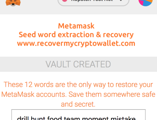 Lost wallet extraction from Metamask Vault